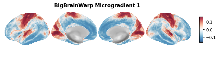 ../_images/nb_introduction_intro08_brainplot_5_2.png