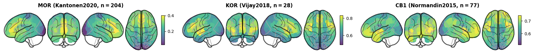 ../_images/nb_introduction_intro08_brainplot_8_2.png
