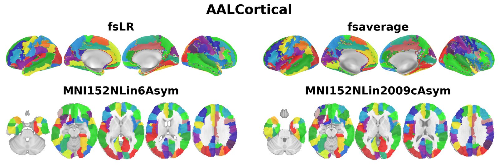 AALCortical overview