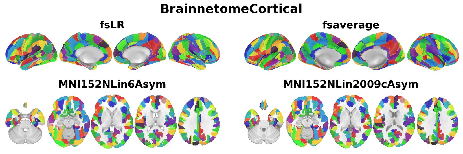 BrainnetomeCortical overview