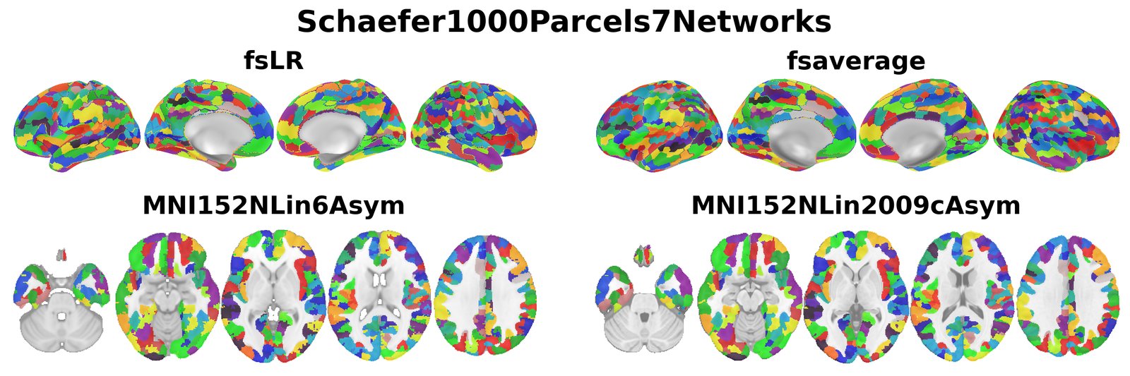 Schaefer1000Parcels7Networks overview