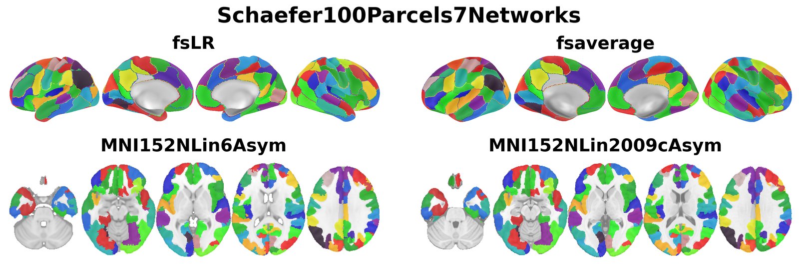 Schaefer100Parcels7Networks overview