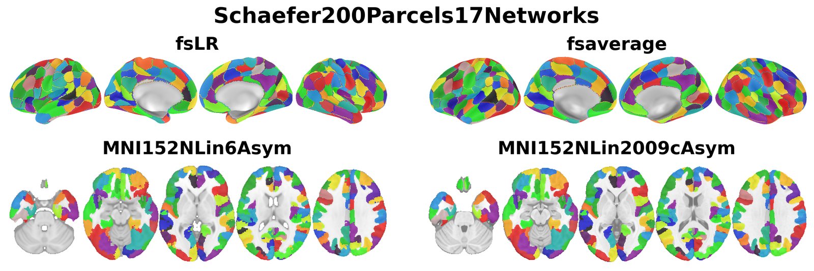 Schaefer200Parcels17Networks overview