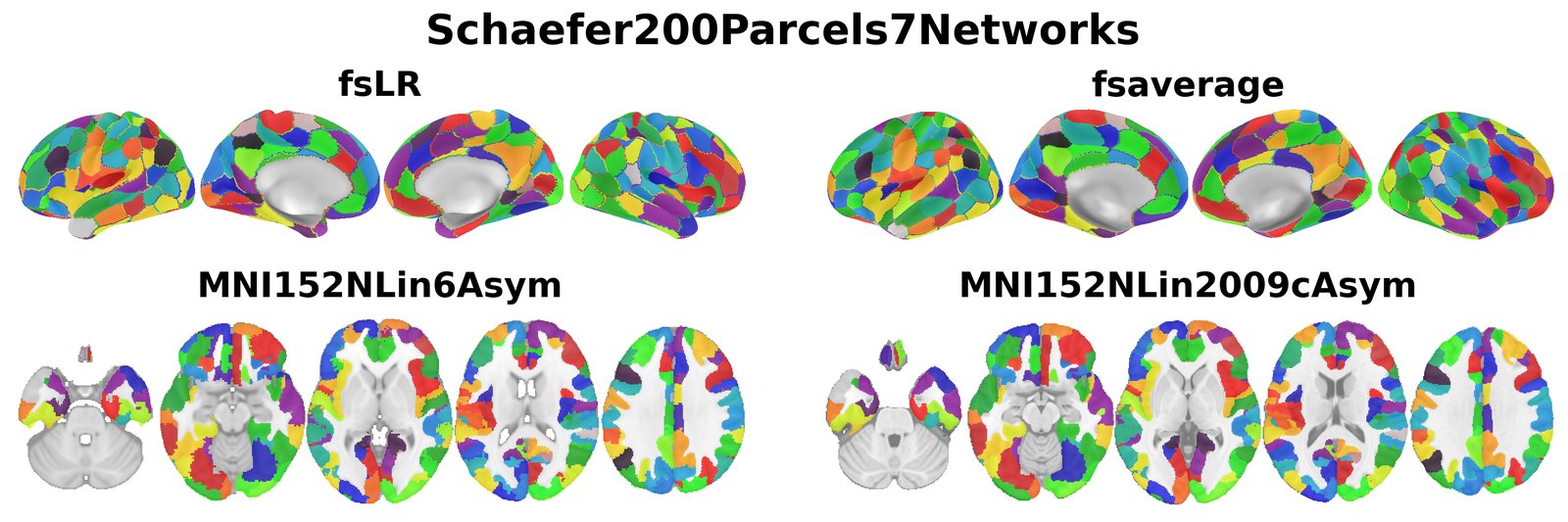 Schaefer200Parcels7Networks overview