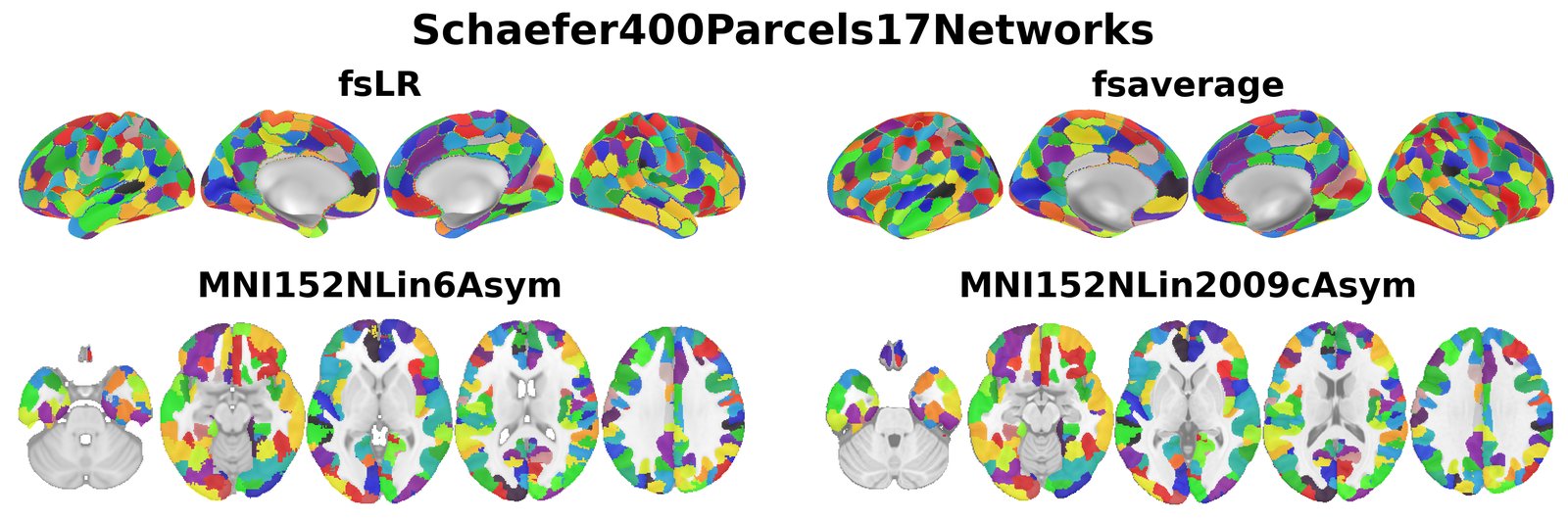 Schaefer400Parcels17Networks overview
