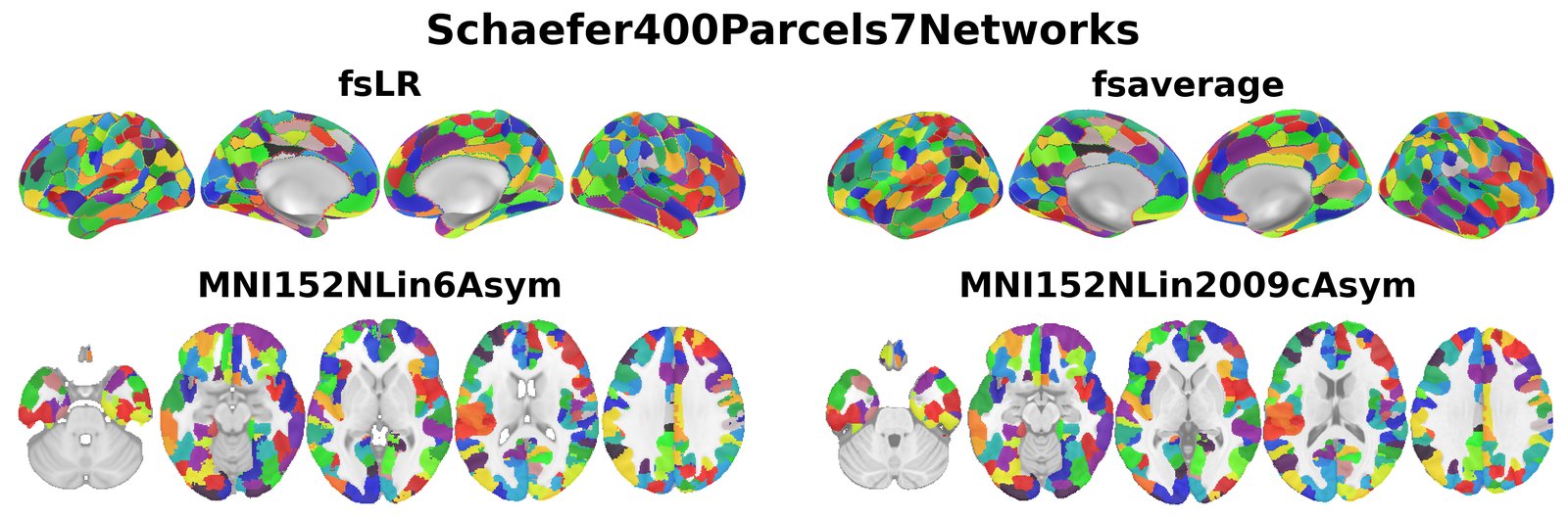 Schaefer400Parcels7Networks overview