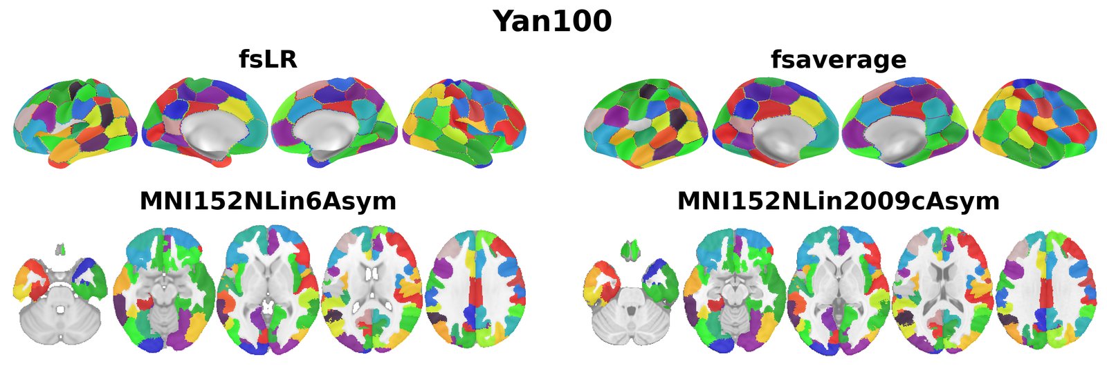Yan100 overview