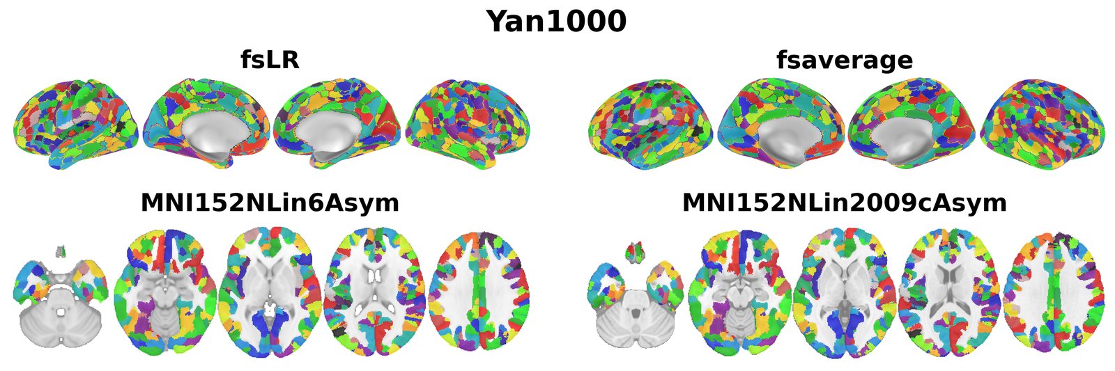 Yan1000 overview
