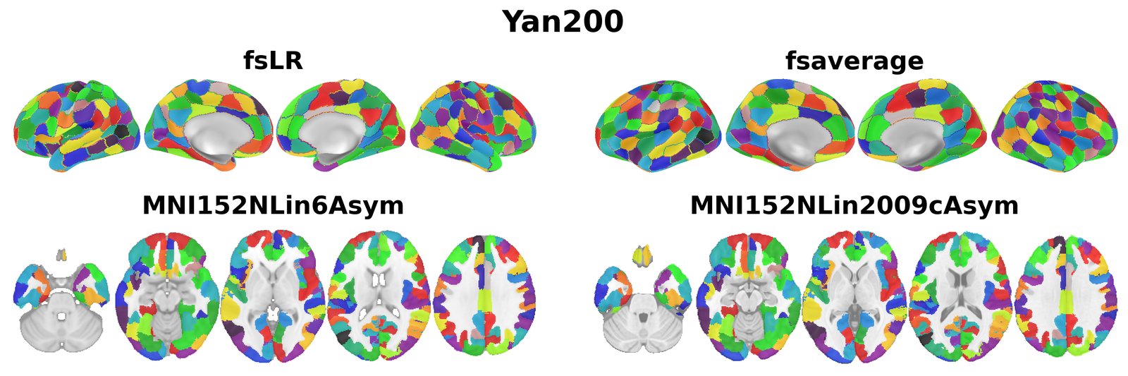 Yan200 overview