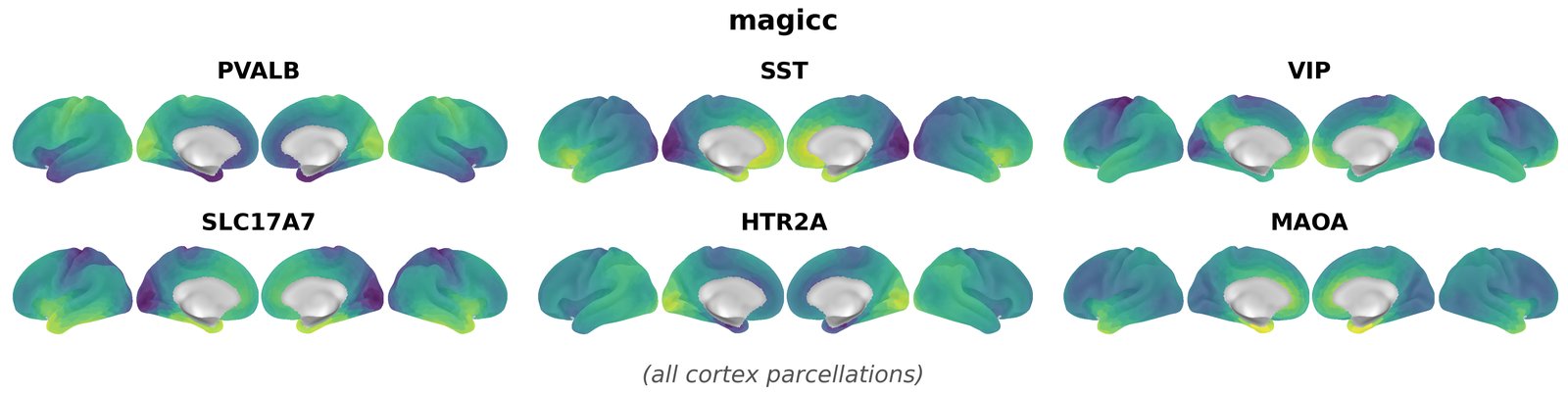 magicc overview