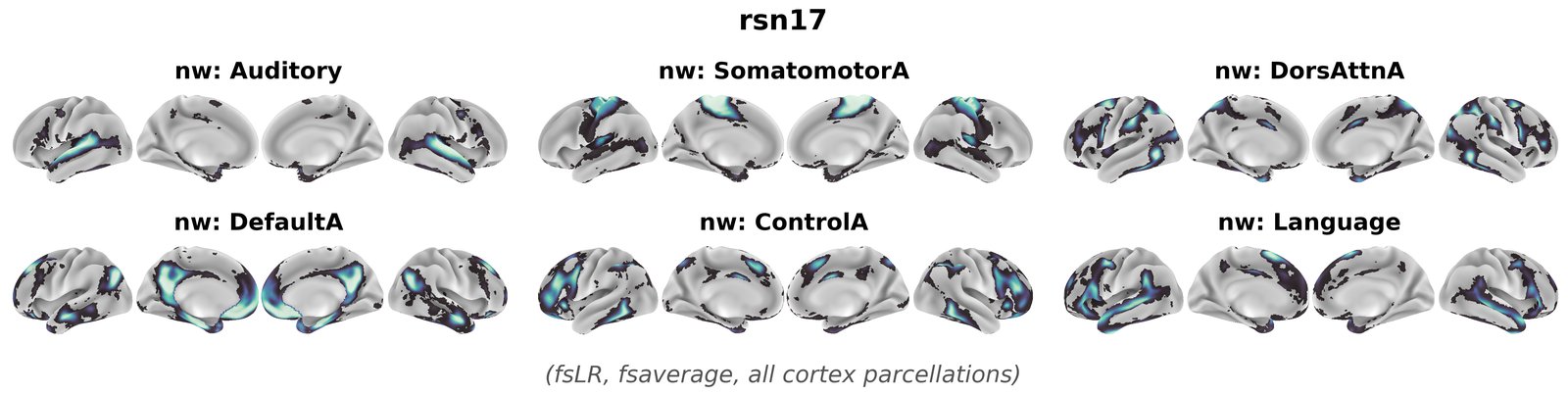 rsn17 overview
